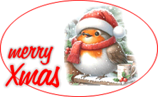 Christmas 2025 - picture of a robin